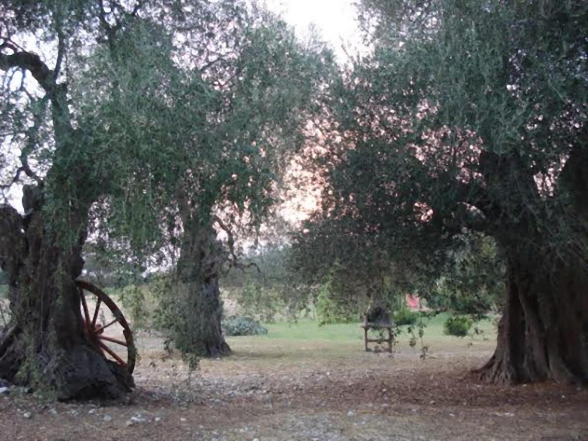 La Piana Di Calena Βίλα Peschici Εξωτερικό φωτογραφία
