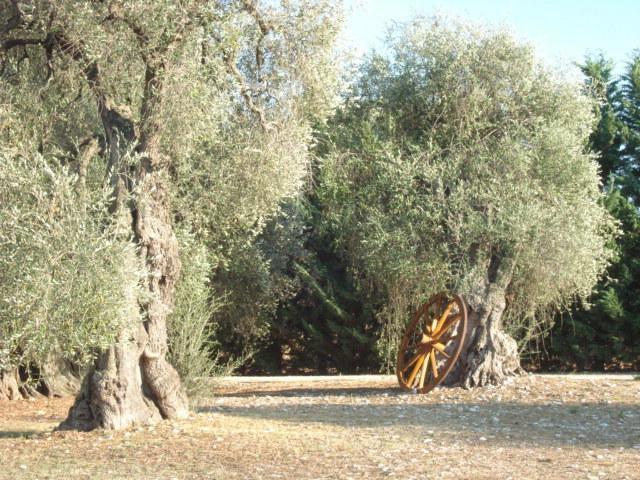 La Piana Di Calena Βίλα Peschici Δωμάτιο φωτογραφία